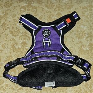 Purple and Black Dog Harness and Matching Leash.
